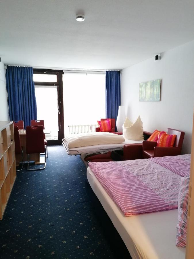 Kranichsee-Apartment ゴスラー エクステリア 写真